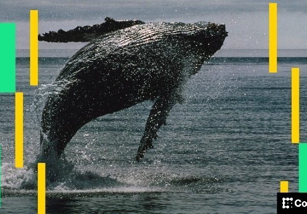 Один криптотрейдер зробив ставку на 194 мільйони доларів, що ціна&hellip;