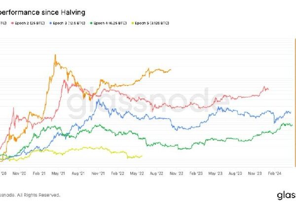 Біткойн проходить середину циклу халвінгу, оскільки зростання цін…