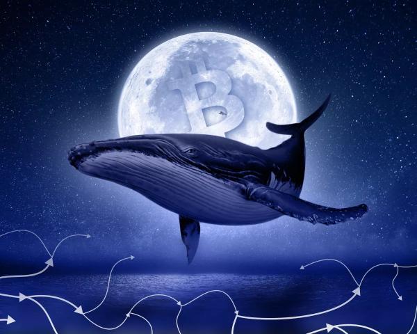 «Розумний» кит заробив $3,5 млн на PEPE і закупився альткоїнами — ForkLog UA
